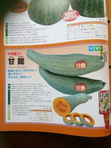 甘龍カボチャとは