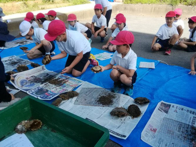 室生小学校でヒマワリの種採取をしました